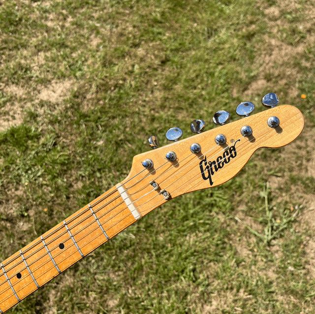1974 Greco / Fender JAPAN Telecaster Thinline ORDER MADE (Birdseye Maple Fretboard) + ORIGINAL CASE 